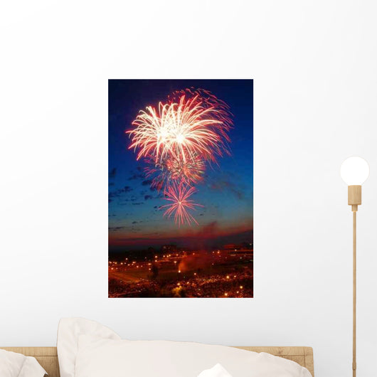 Color Firework Wall Decal