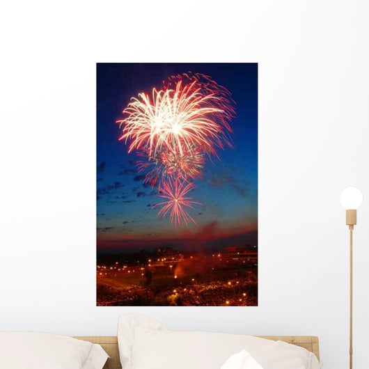 Color Firework Wall Decal