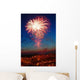 Color Firework Wall Decal