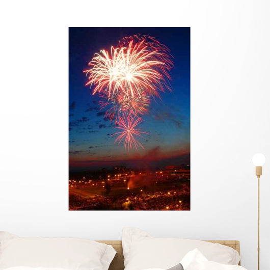 Color Firework Wall Decal