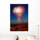 Color Firework Wall Decal