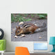 Dinner Wall Mural