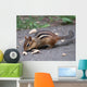 Dinner Wall Mural
