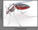 Mosquito Robot Bloodsucker Wall Decal