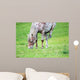 Appaloosa Horse Eating