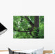 Green Acacia Tree Wall Mural