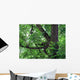 Green Acacia Tree Wall Mural