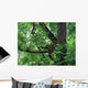 Green Acacia Tree Wall Mural