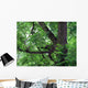 Green Acacia Tree Wall Mural