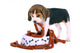 Beagle Puppy Wall Decal