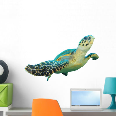 Hawksbill Sea Turtle Wall Decal shown on a wall
