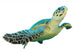 Hawksbill Sea Turtle Wall Decal