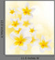 Frangipani Flowers White