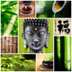 bouddha zen Wall Mural