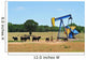 Oil Well Pumper and Brahma Cattle in West Texas. Wall Mural