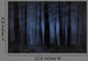 Foggy Forest Wall Mural