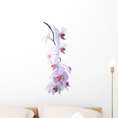 Pink Spotted Orchids Wall Decal shown on a wall