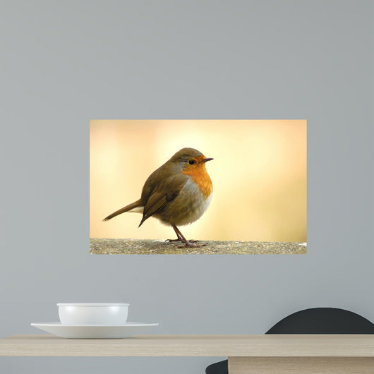 Red Robin Wall Decal