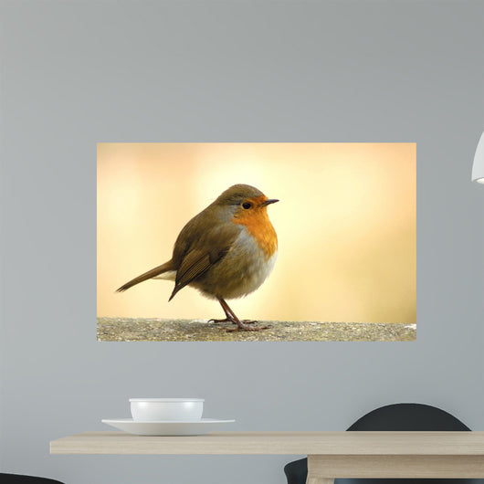 Red Robin Wall Decal