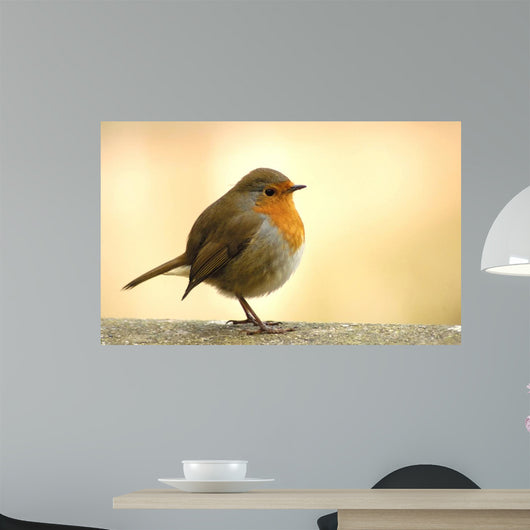 Red Robin Wall Decal