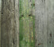 Backgrounds Wooden Fence Wall Decal Design 1
