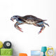 blue crab isolated over white 2 Wall Decal