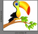 Toucan Bird