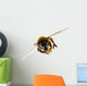 Honey Bee in Flight Wall Decal