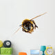 Honey Bee in Flight Wall Decal
