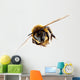 Honey Bee in Flight Wall Decal