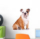curious english bulldog puppy Wall Decal