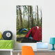 Camping Wall Mural