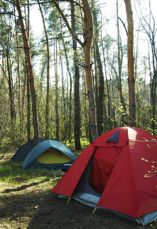 Camping Wall Mural