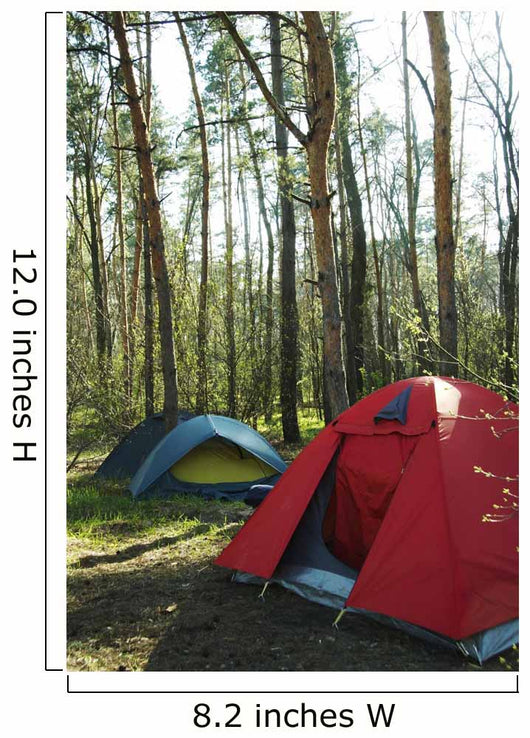 Camping Wall Mural