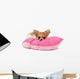 Puppy Chihuahua on Cushion Wall Decal