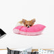 Puppy Chihuahua on Cushion Wall Decal