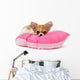 Puppy Chihuahua on Cushion Wall Decal