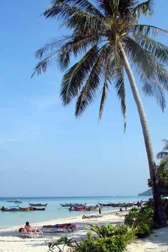 Plage Koh Phi Phi Wall Decal