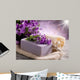 natural flower soap with scrub sponge Wall Mural