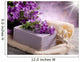 natural flower soap with scrub sponge Wall Mural