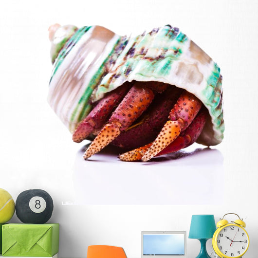 Hermit Crab Wall Mural