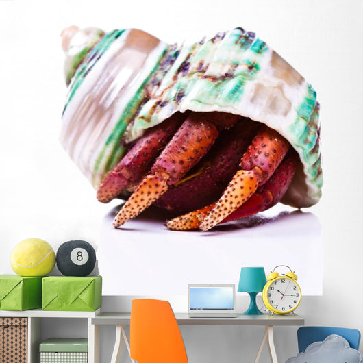 Hermit Crab Wall Mural
