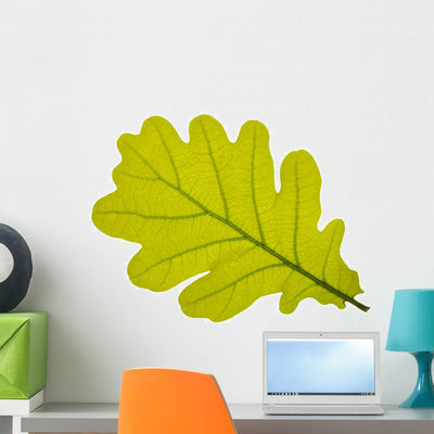 Oak Oak Leaf Tree Wall Decal shown on a wall