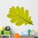 Oak oak leaf tree Wall Decal