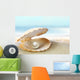 Shell with Pearl