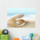 Shell with Pearl