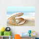 Shell with Pearl