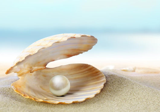 Shell with Pearl