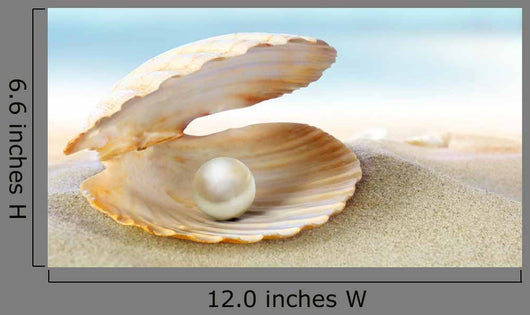 Shell with Pearl
