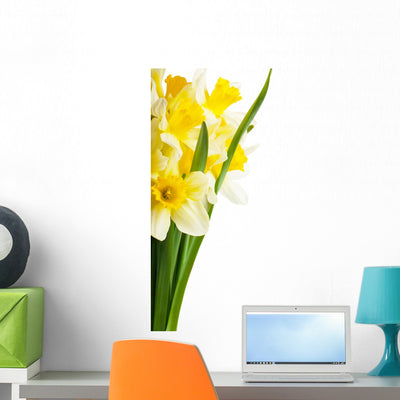 Yellow Narcissus Daffodil Wall Decal shown on a wall